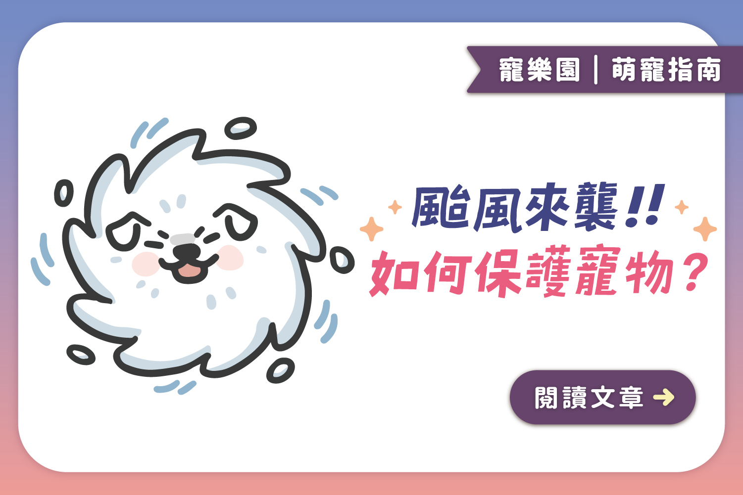 颱風來襲🌀｜﻿該如何保護寵物？颱風前後應對措施一次看