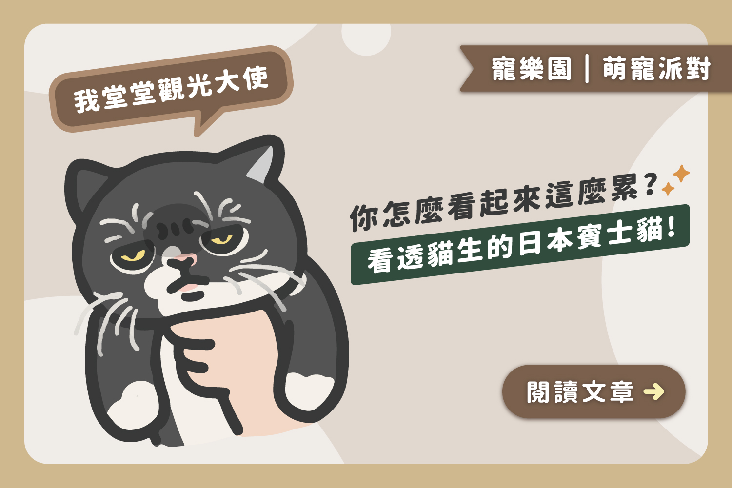 你怎麼看起來這麼累｜看透貓生的日本賓士貓﻿