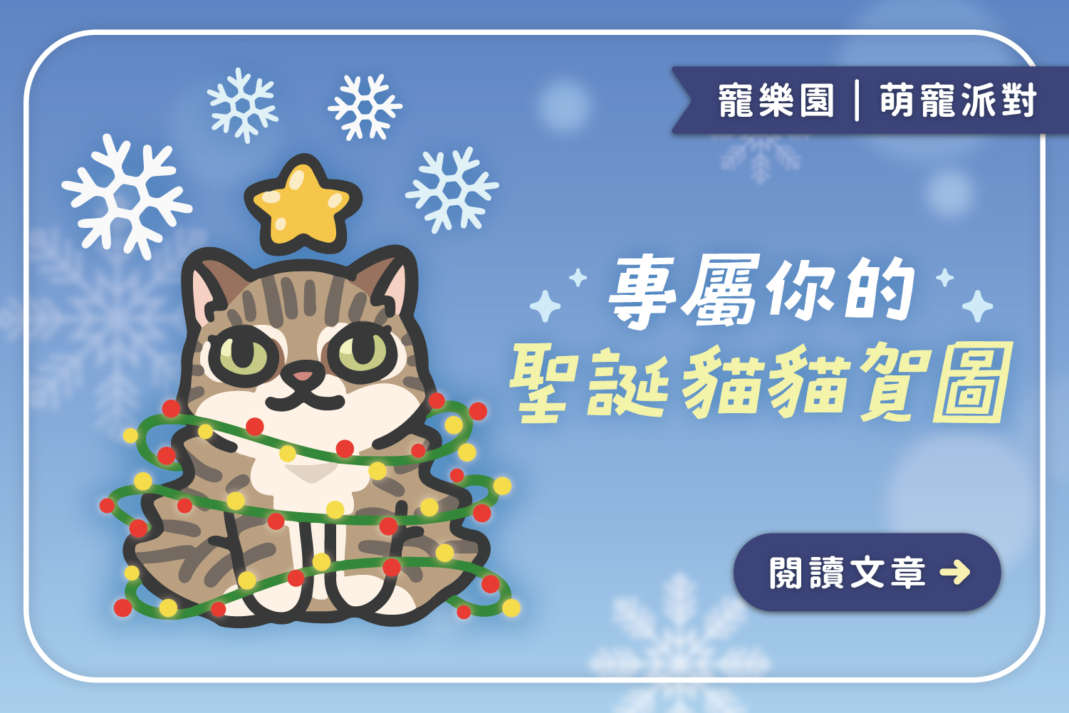 專屬你的聖誕貓貓賀圖﻿｜做出獨一無二的聖誕賀圖🎄
