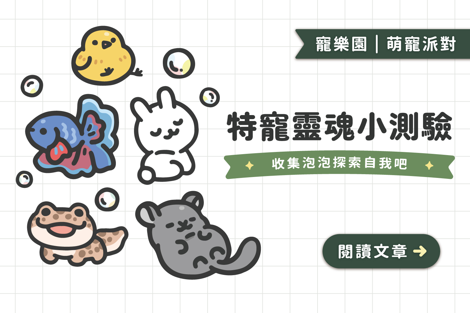 特寵靈魂小測驗﻿｜收集泡泡探索自我