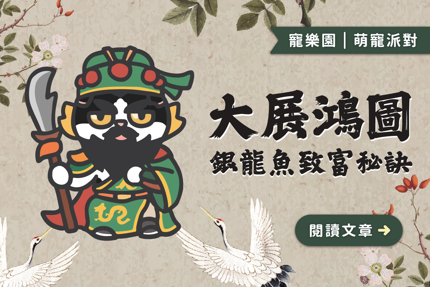 大展鴻圖｜銀龍魚致富秘訣🐉