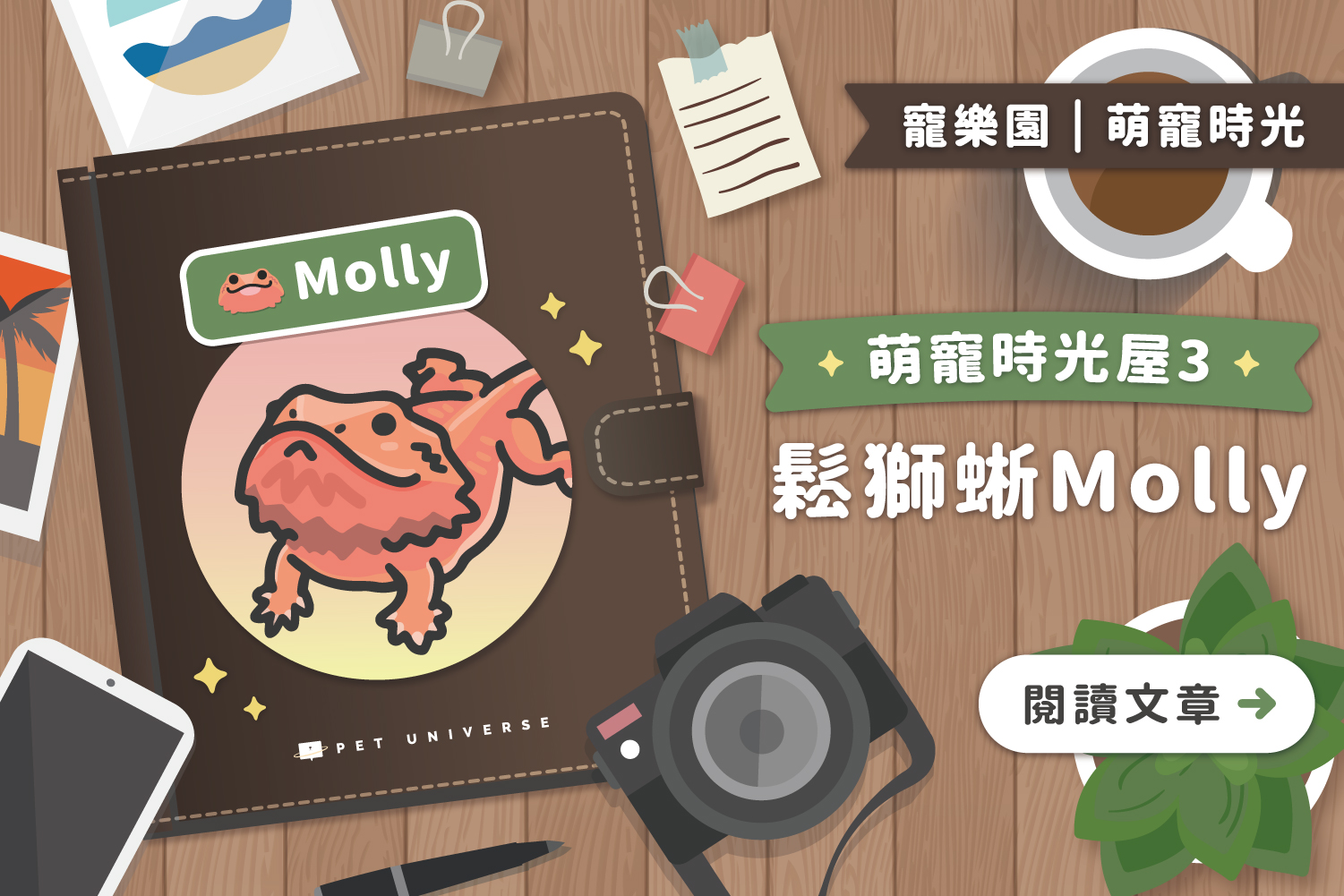 萌寵時光屋｜第三位主角🦎Molly