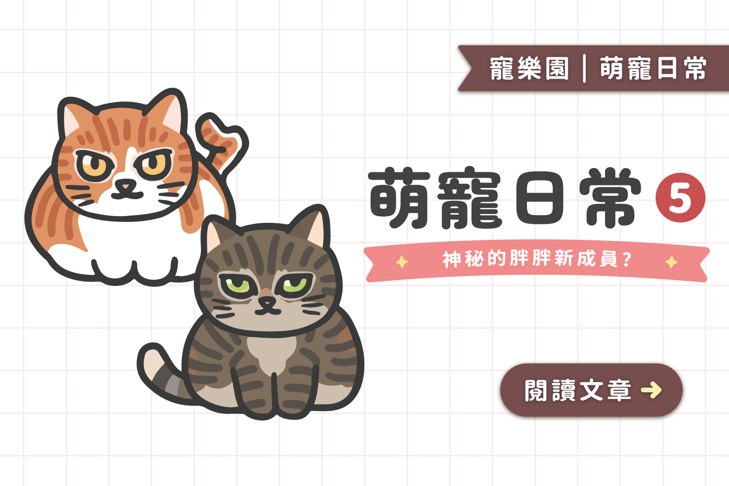 EP5｜🐈🐈‍⬛神秘的胖胖新成員？