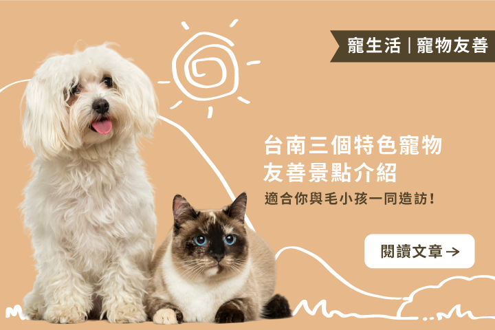 台南寵物友善私房景點大公開！帶毛孩一起玩翻這3個秘境景點