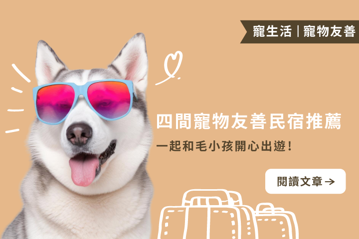 帶著毛孩去旅行：4 間美景與舒適兼具的友善民宿