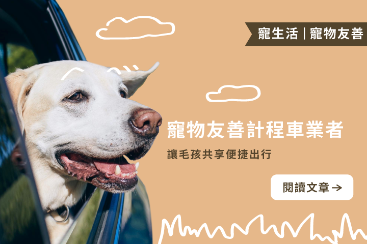 台中推寵物友善計程車！毛孩出門不再被拒載