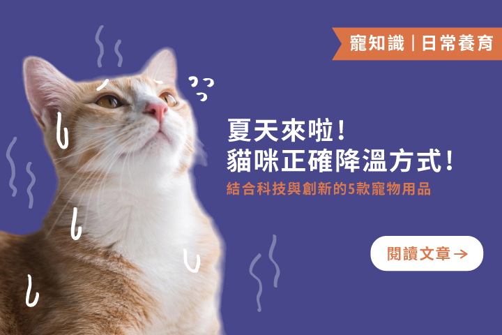 貓貓不說但很熱！這樣做幫牠清爽一夏