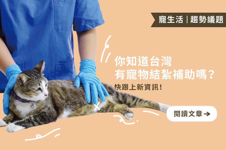 你知道台灣有寵物結紮補助嗎？快跟上新資訊！