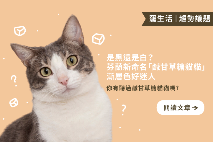 到底是黑貓還是白貓？芬蘭貓界出現新口味：鹹甘草糖貓