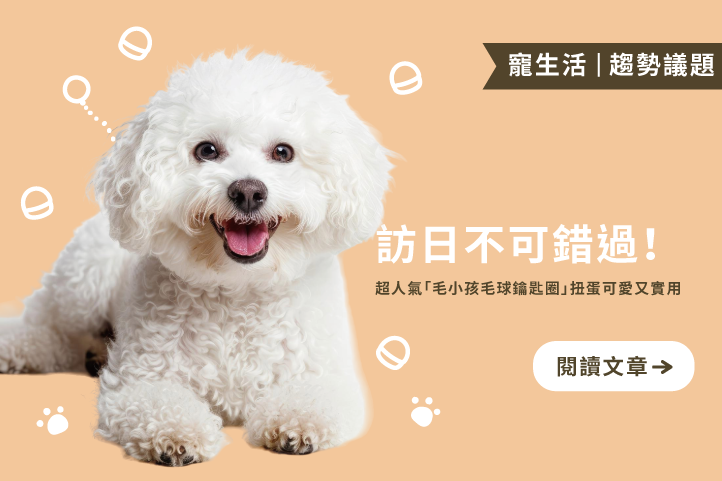 訪日不可錯過！超人氣「毛小孩毛球鑰匙圈」扭蛋可愛又實用