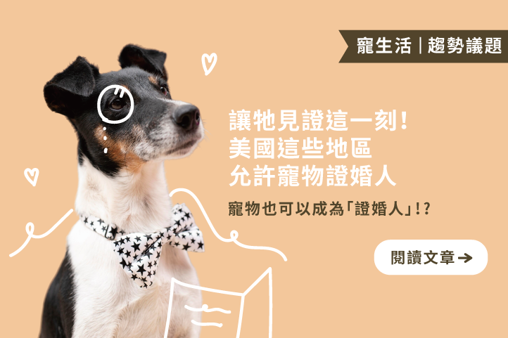 讓牠見證這一刻！美國這些地區允許寵物證婚人