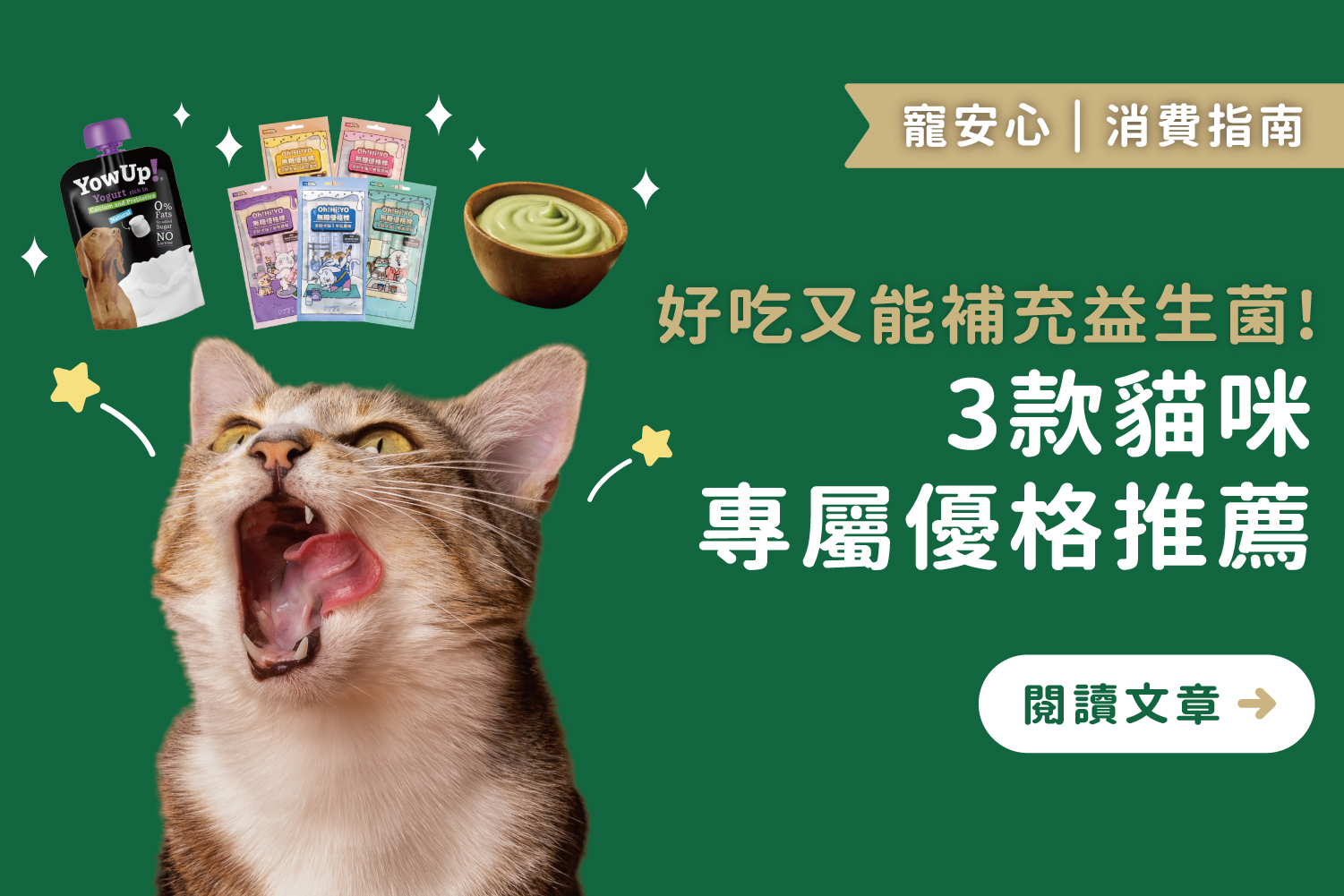 好吃又能補充益生菌！｜3款貓咪專屬優格推薦