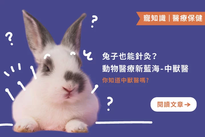 不只貓狗，連特寵都能看中醫？帶你認識中獸醫的世界