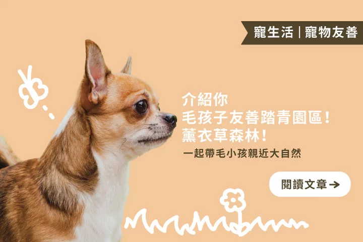 毛孩子友善踏青園區 --「薰衣草森林」