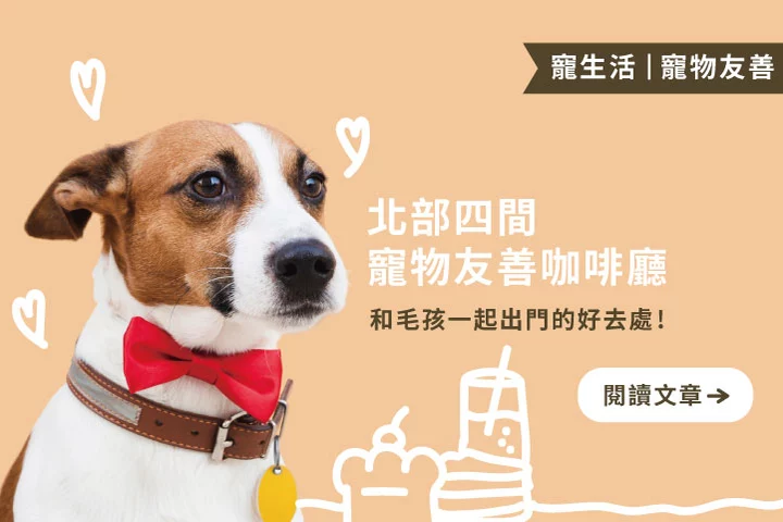 帶毛孩放風去！北部寵物友善咖啡廳懶人包