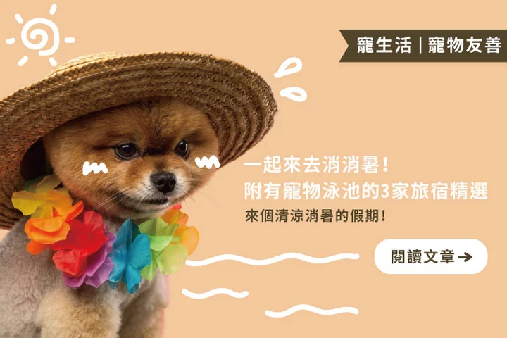 一起來去消消暑！全台3間附寵物泳池的清涼旅宿精選