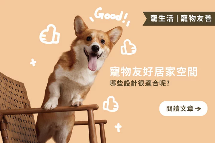 【寵物友好居家設計指南】打造毛孩與主人都舒適的家