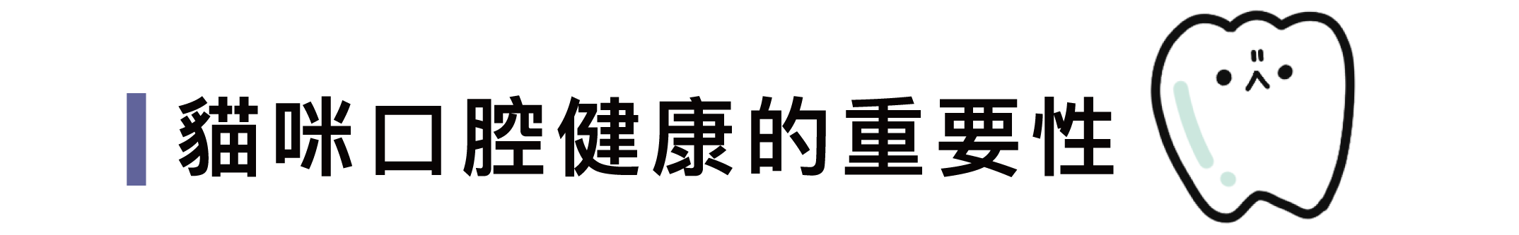 一顆牙齒，貓咪口腔的重要性