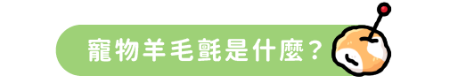 寵物羊毛氈是什麼？