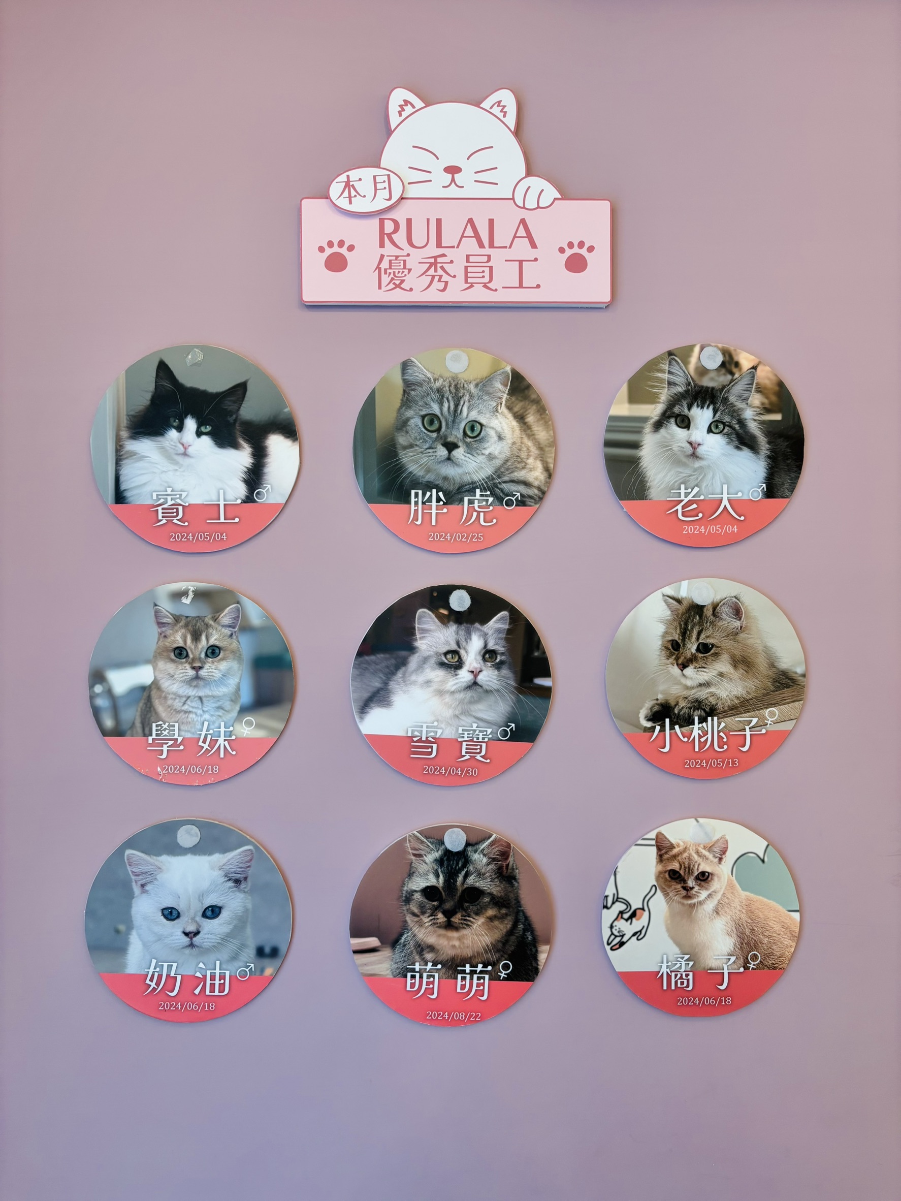初訪【擼LALA Sweets 松菸店】