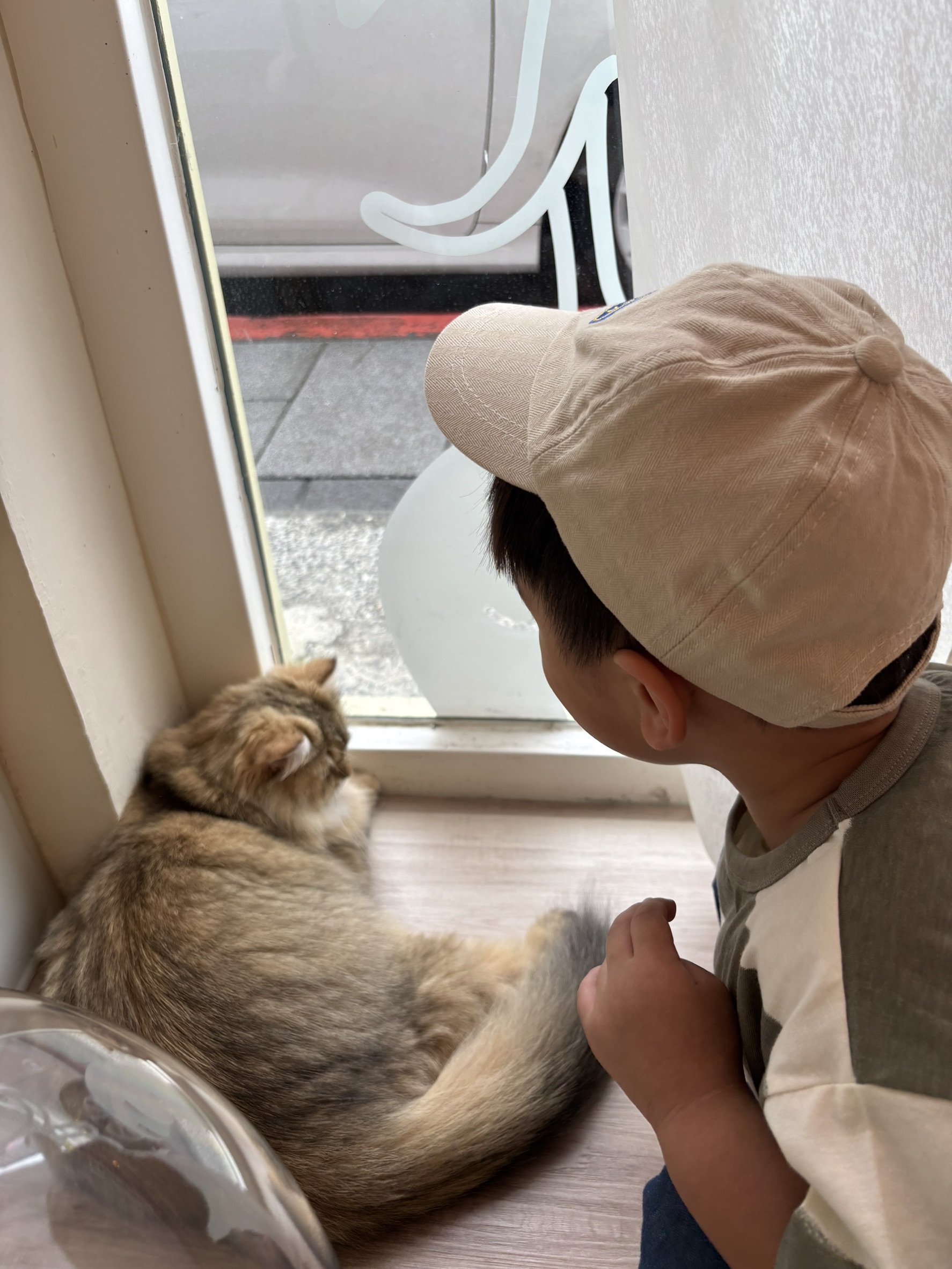 初訪【擼LALA Sweets 松菸店】