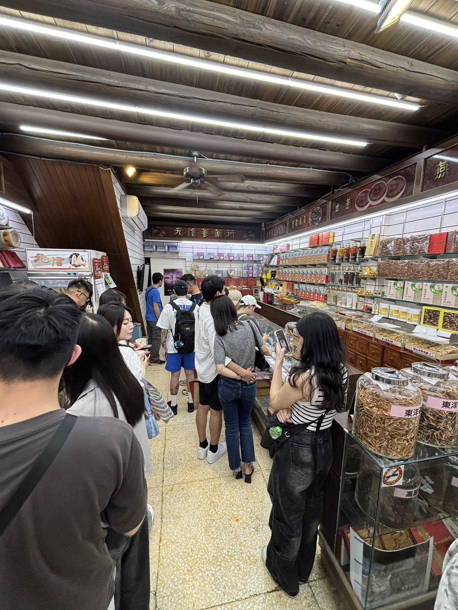 迪化街的貓貓太可愛了