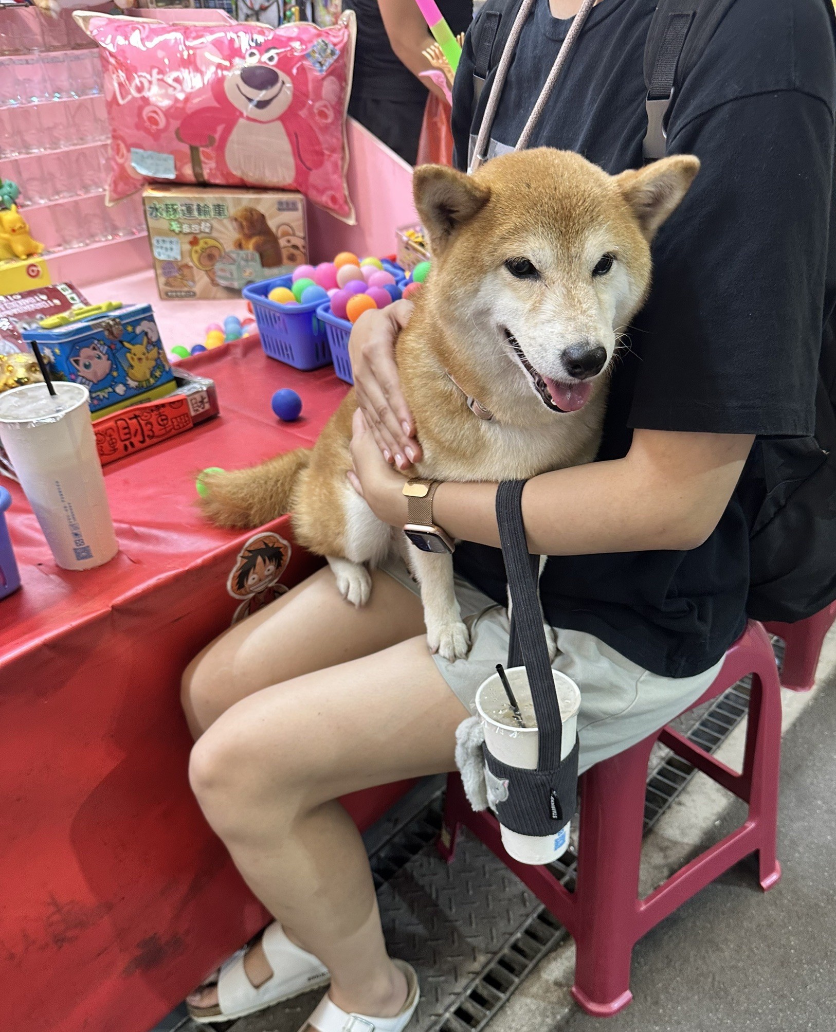 樹林興仁花園夜市遊戲攤的柴柴